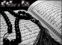 /album/galerie-photos/images-3-jpg/